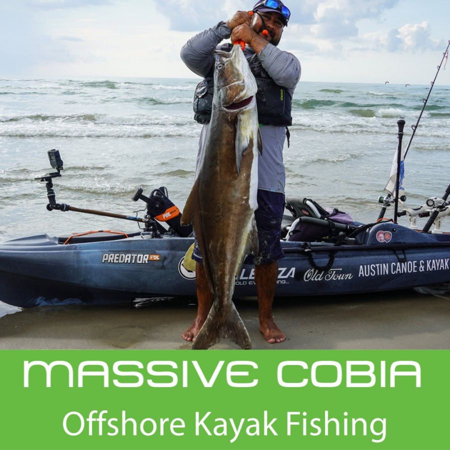 Massive Cobia - Offshore Kayak Fishing With Chris Castro