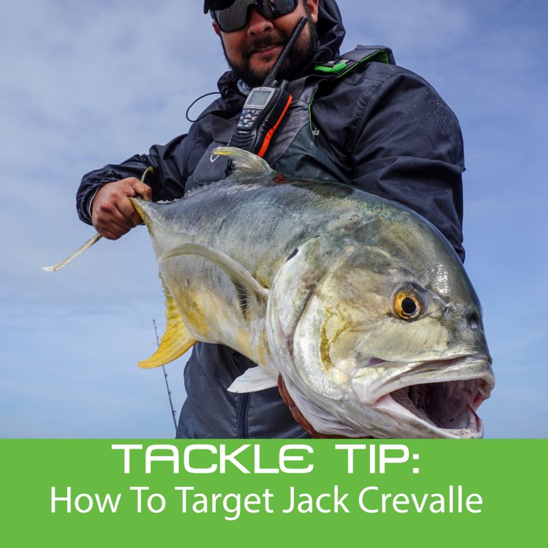 Tackle Tip: How To Target Jack Crevalle, with Chris Castro