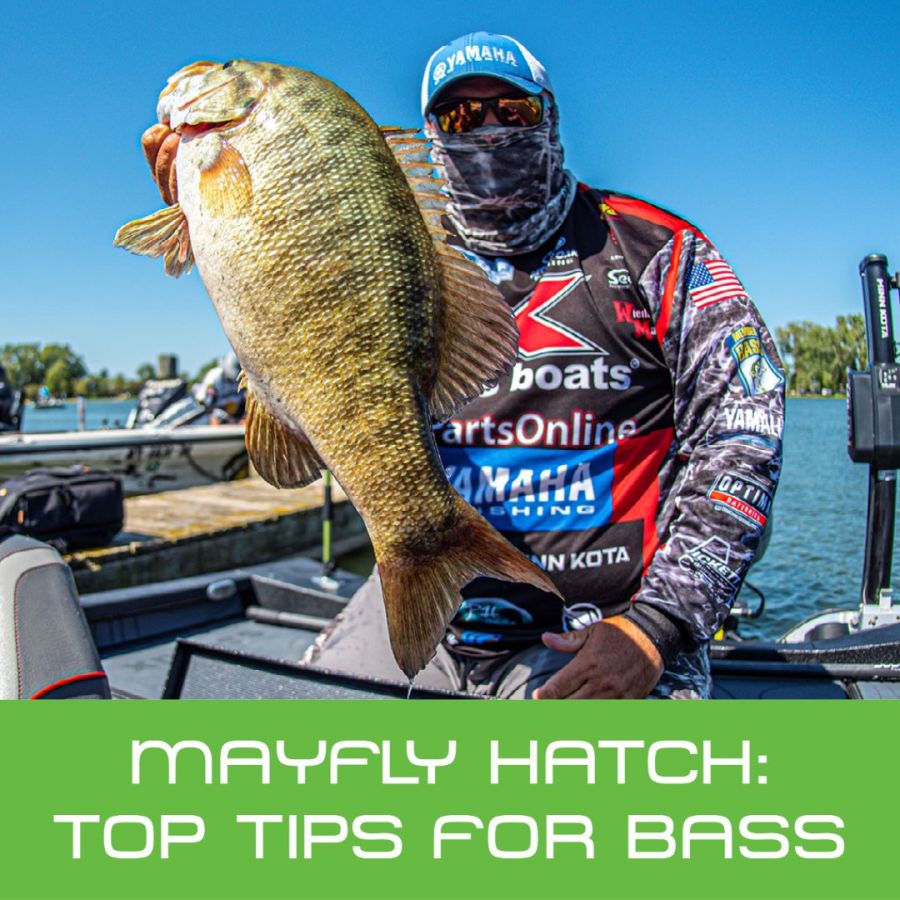 Best Baits and Technique For Bass In Mayfly Hatch : Bill Lowen
