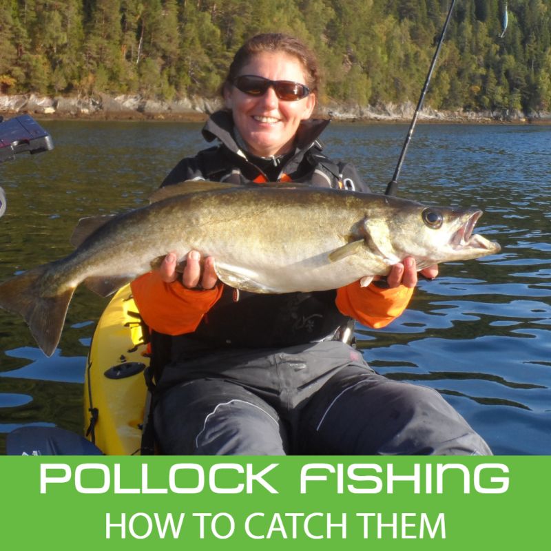 Pollock fishing, How to catch them, Irene Hodgson