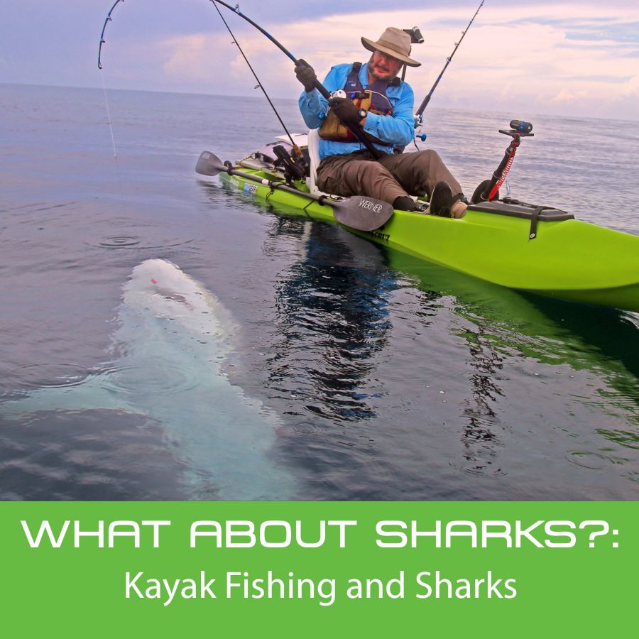 Kayak Fishing…What about the Sharks?!!