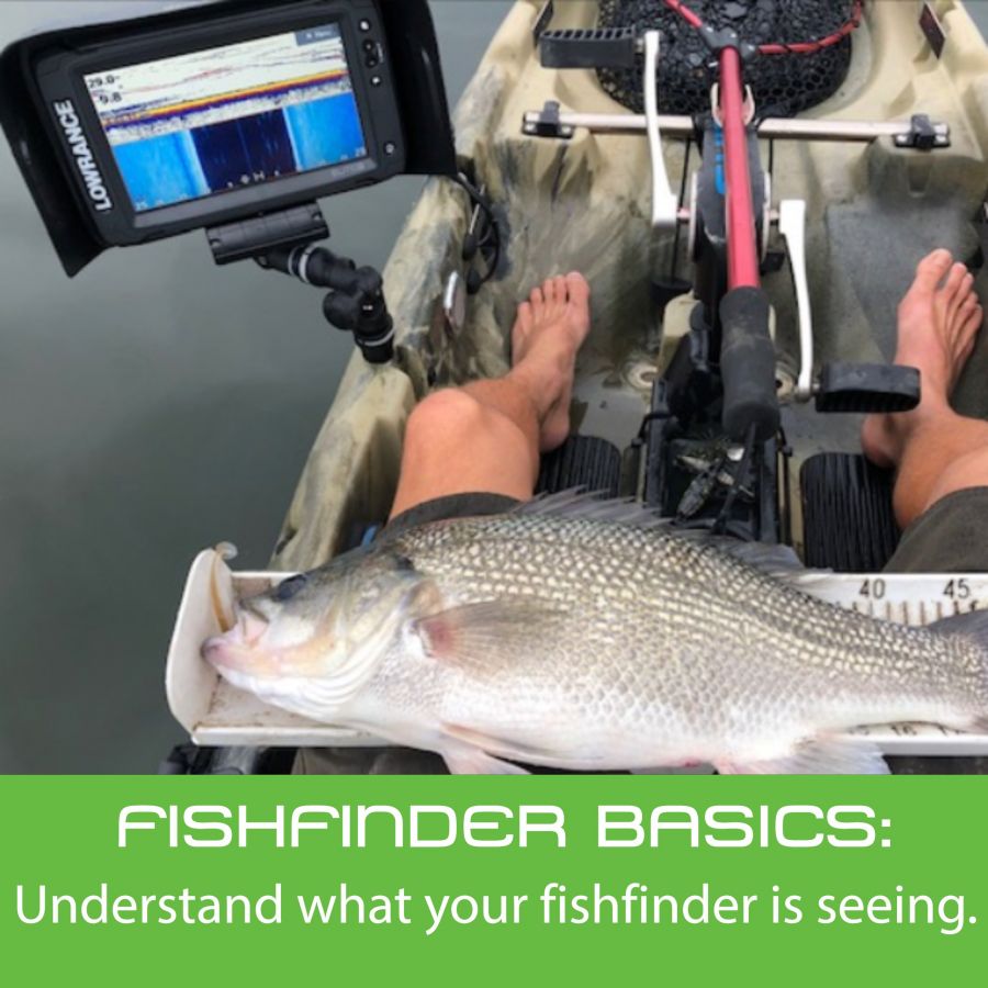 Fishfinder basics - Understanding How Downscan & Sidescan Help You Identify Fish To Target.